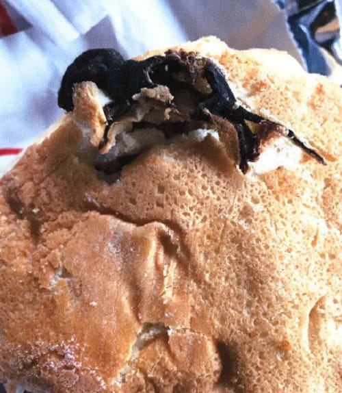 dead rat found in food at a Pennsylvania restaurants in the usa