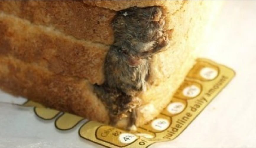 dead rat found in food at a Pennsylvania restaurants in the usa