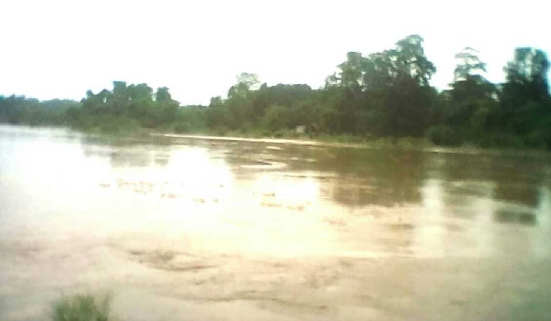 90 bigha land swept Mohana river in Bellaparua