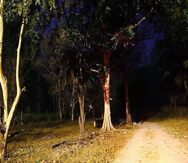 Lansdon people hide in homes in the evening