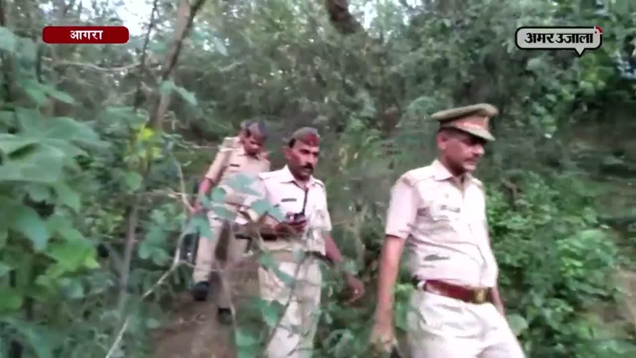 आगरा 