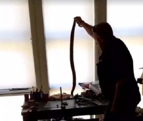 eastern brown snake found wrapping around child toy