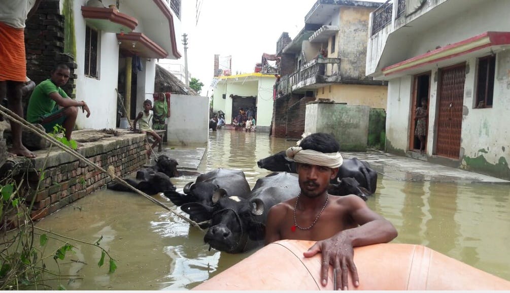 Ground report of flood due to Rohin river in Gorakhpur