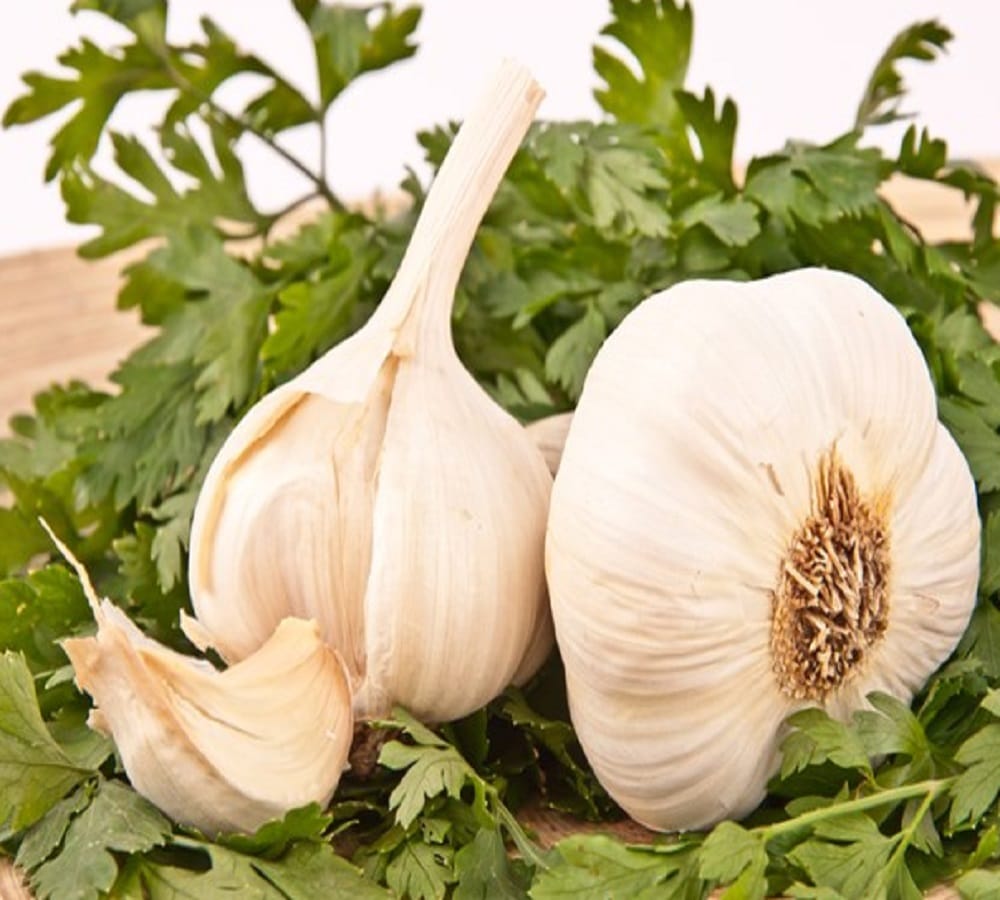 Dont put these things in refrigerator otherwise it will become tasteless
