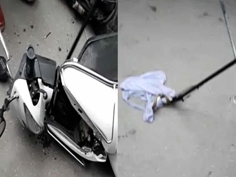 Snake found in activa stand in parking