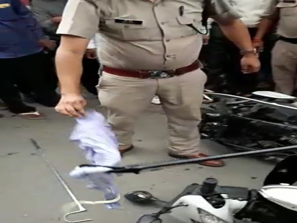 Snake found in activa stand in parking