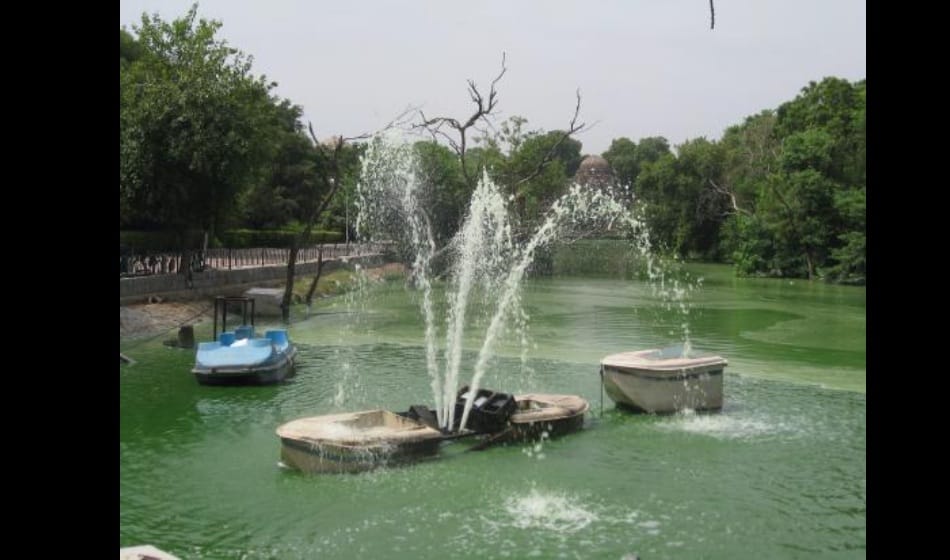 manipuri boy drowned in the pond and was dead