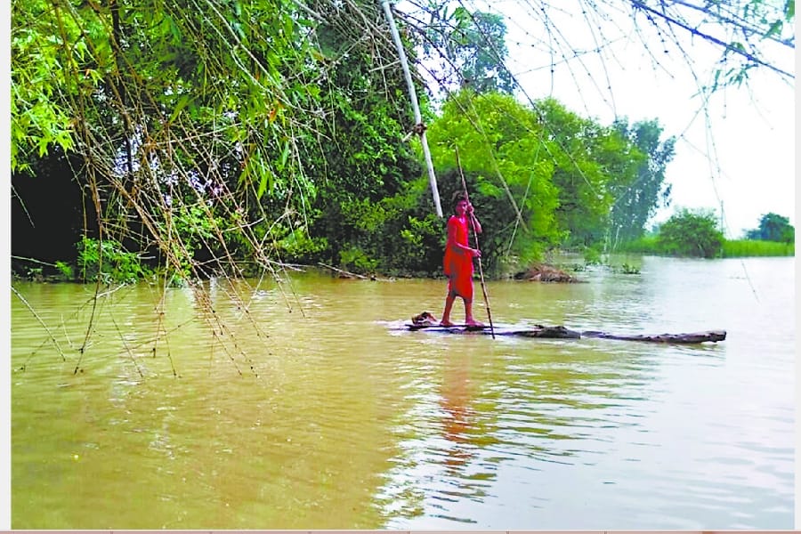 Due to the downfall of river water trouble became less