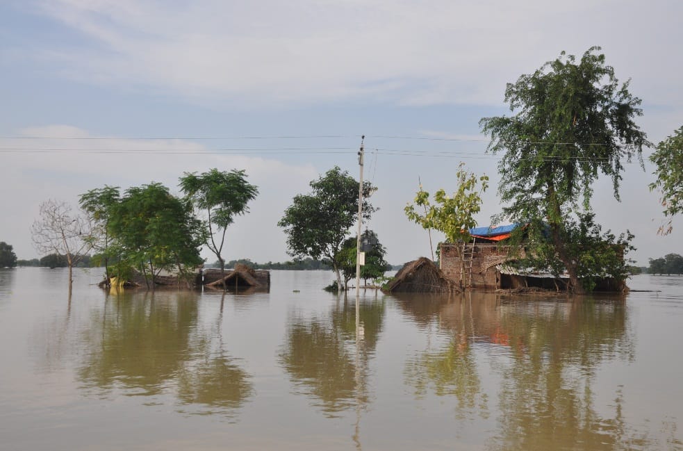 Effect of flood on market