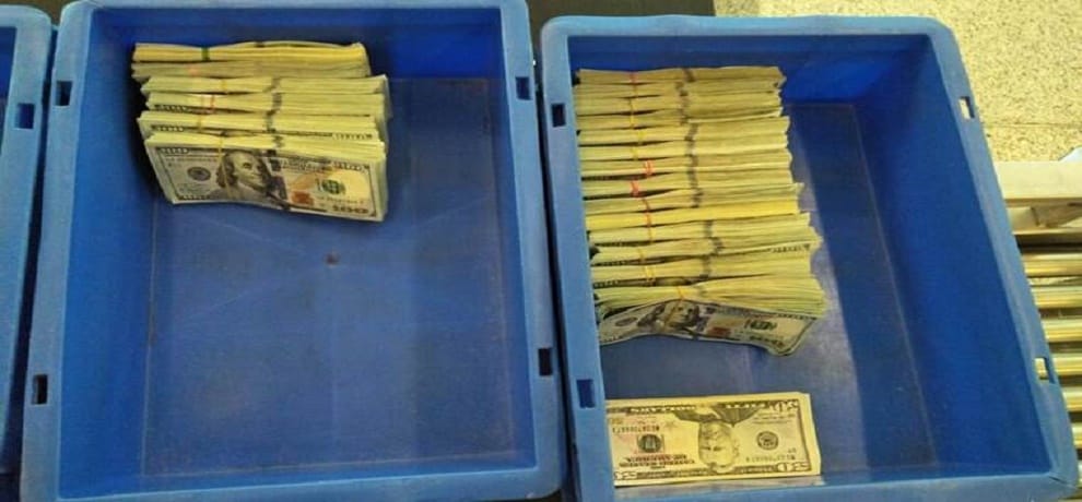 foreign currency robbed from pgi chandigarh professor house