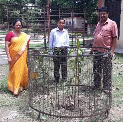 The garden will be named after the dead students