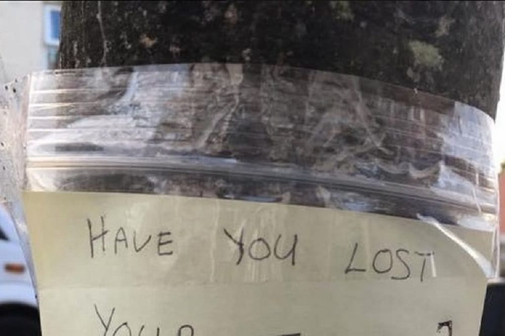Woman found mysterious packet of teeth hanging in plastic from tree in England