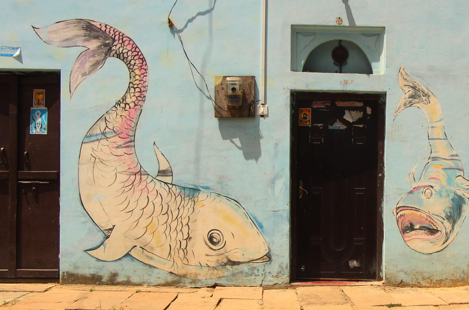 see the photos of varanasi village house fish painting