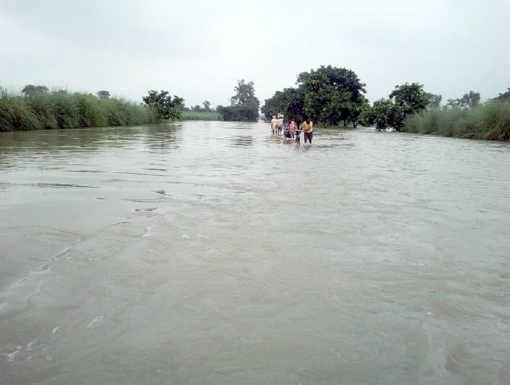 Sharda buds on land and removal of population