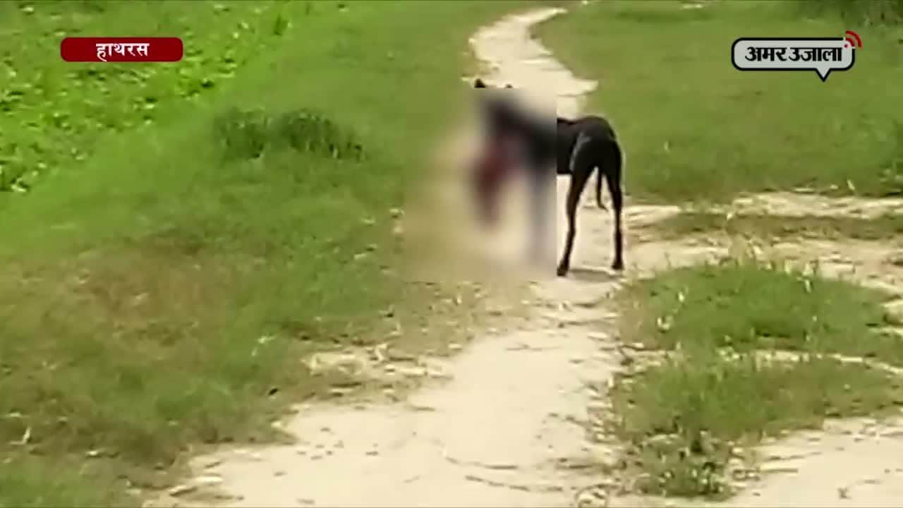 हाथरस डेडबॉडी