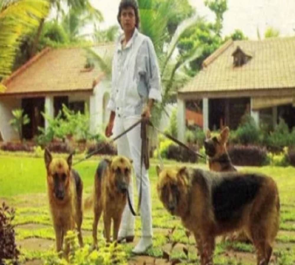 mithun chakraborty owner of monarch group of hotels