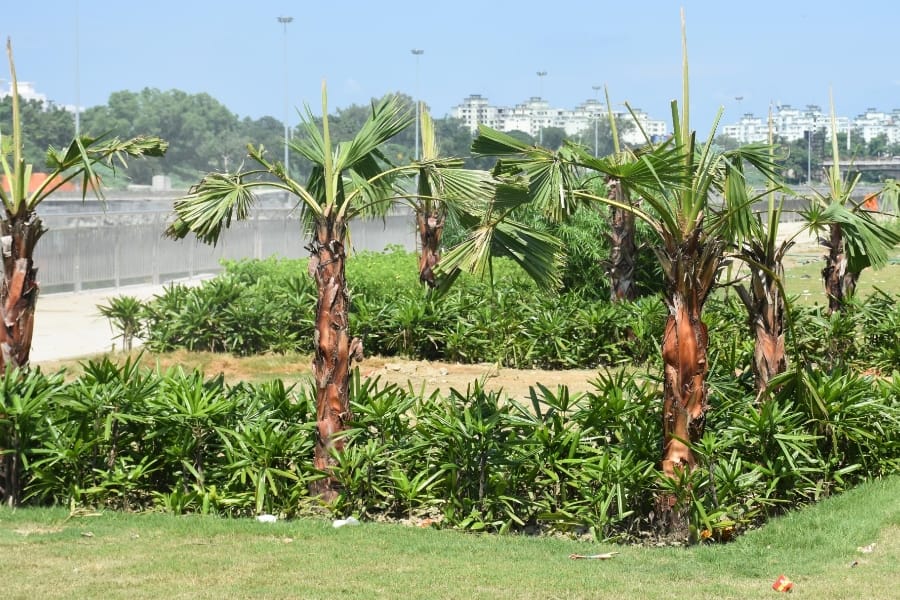  lakshman mela maidan after protest of shikshamitra.