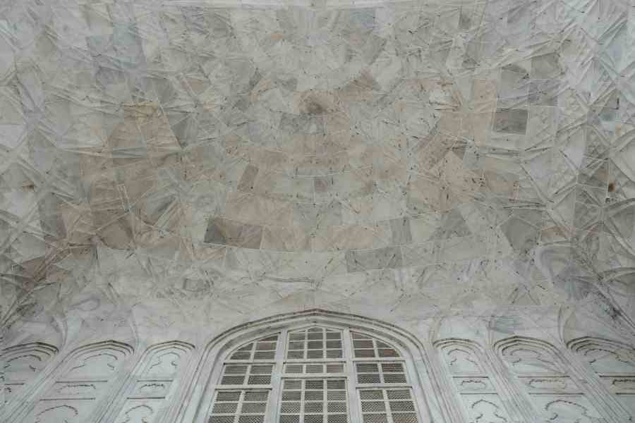 worms attack on taj mahal