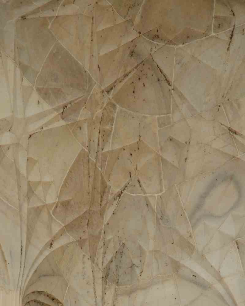 worms attack on taj mahal