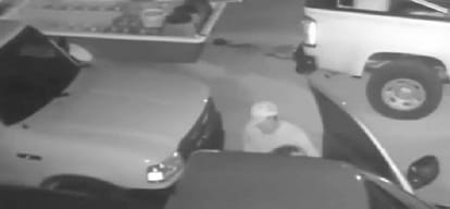 Thief has Intimate with accomplice during stealing car in Florida