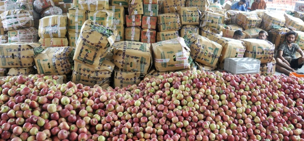 Himachal Bilaspur apple worth rupee 23 crore seized at check post