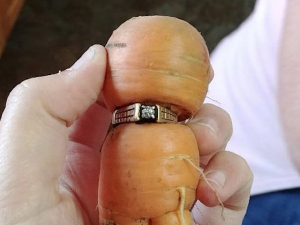 diamond ring found after 13 years wrapped around carrot