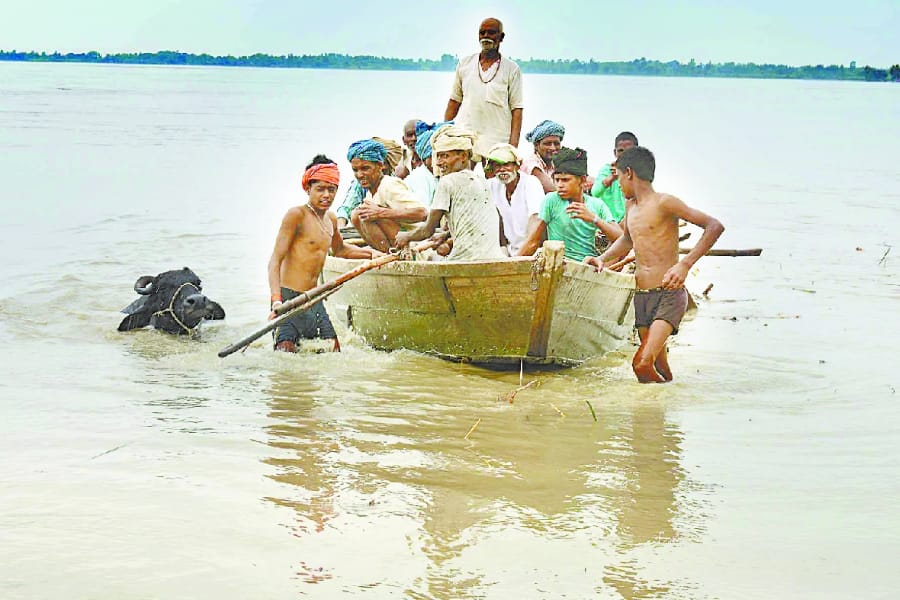 flood becomes disaster in Uttar Pradesh.