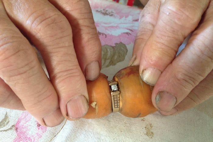 diamond ring found after 13 years wrapped around carrot