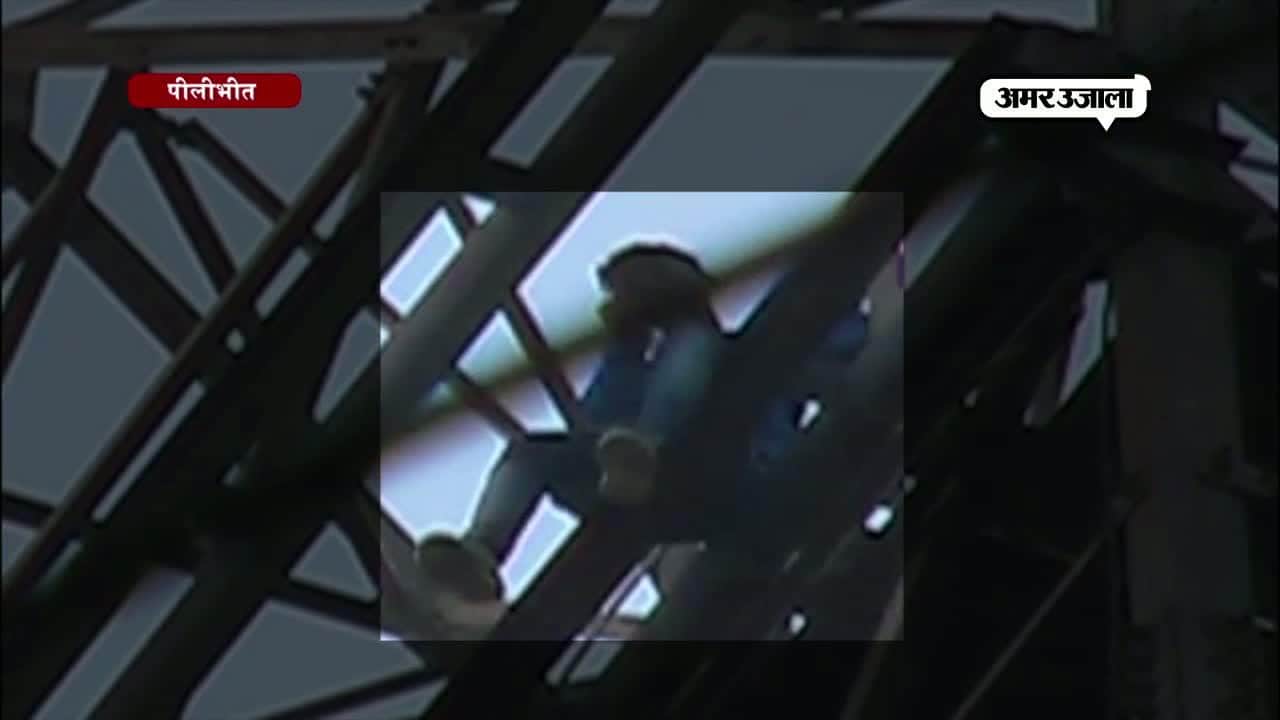 पीलीभीत युवक