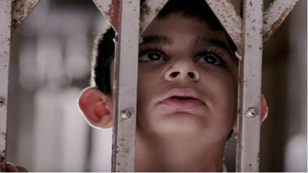 Sniff Movie Review reveals Despite An Unique Script Amole Gupte Fails To Win The Hearts