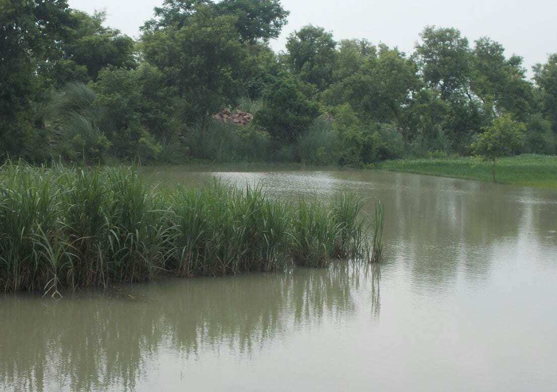  Threat from the flood on the Kunwar Bandh