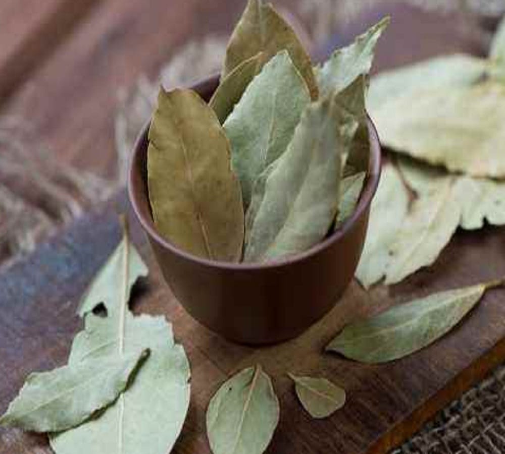 Try this home remedy to get rid of rats at your home 