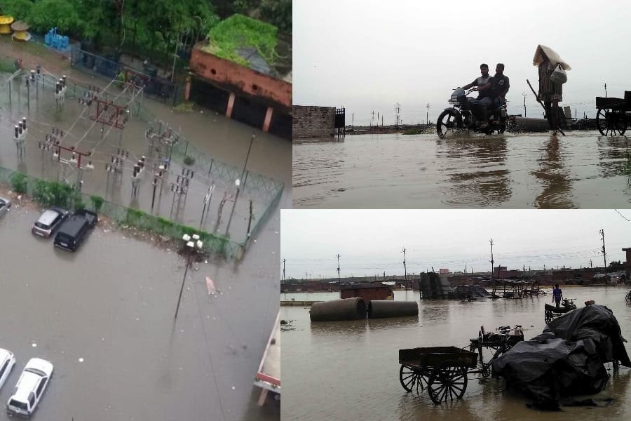 some pics after rain in Lucknow.