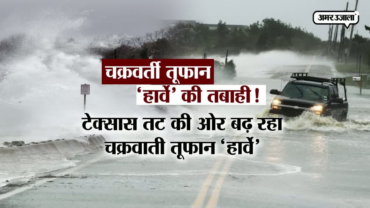 हार्वे