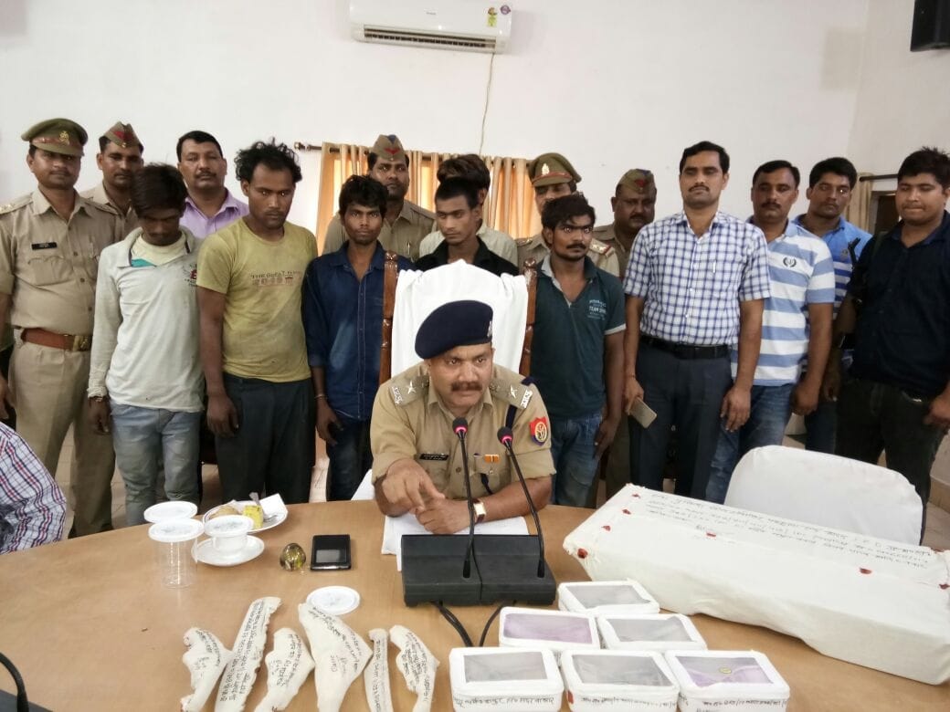 मथुरा और आगरा में 100 चोरियां करने वाला गैंग पकड़ा
