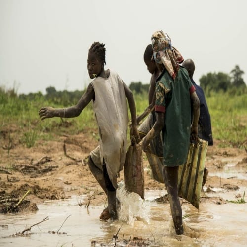  A selection of the best photos from across Africa 
