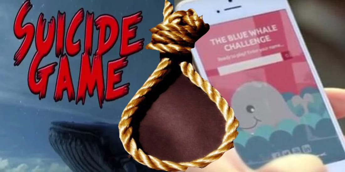 blue whale game claims life of class seventh boy at hamirpur