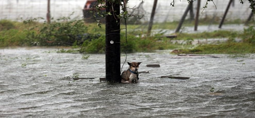 Hurricane Harvey knocks in Texas at 215 KMPH speed, millions affected