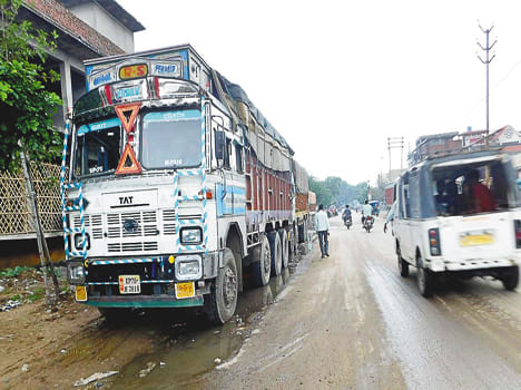 The impact of Haryana wildlife on the transport market