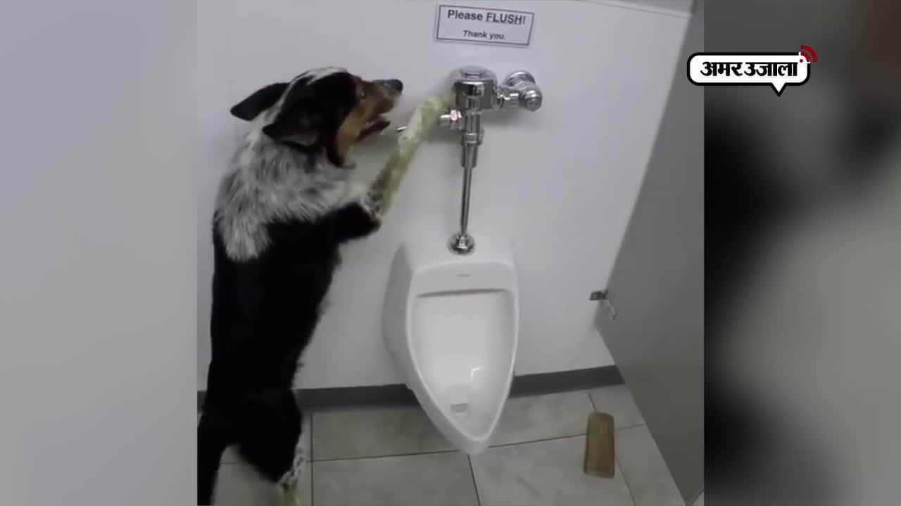 अक्षय कुमार 