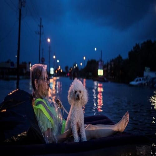 flood damage in Texas from hurricane Harvey 
