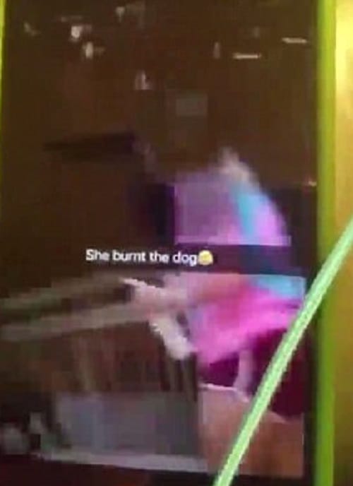 Video on social media shows North Carolina teen lighting flame at dog