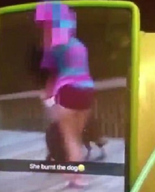 Video on social media shows North Carolina teen lighting flame at dog