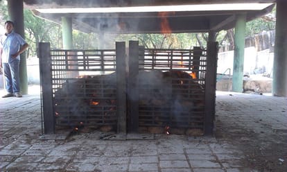 varanasi wood sellersnot start eco friendly crematorium system