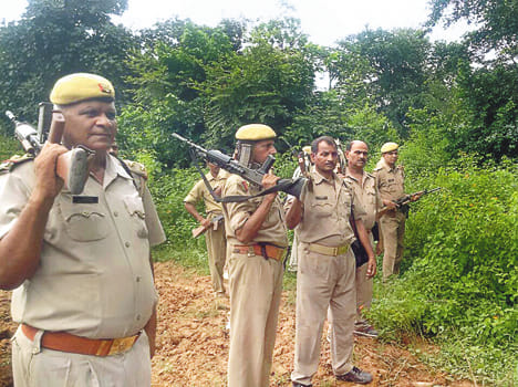Forest cover in police