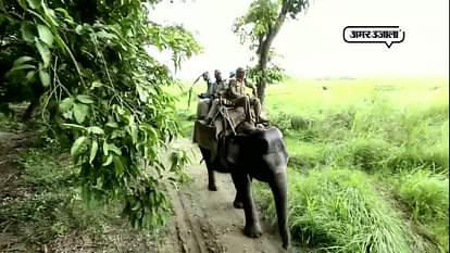 A man kill by tiger in dudhva tiger reserve