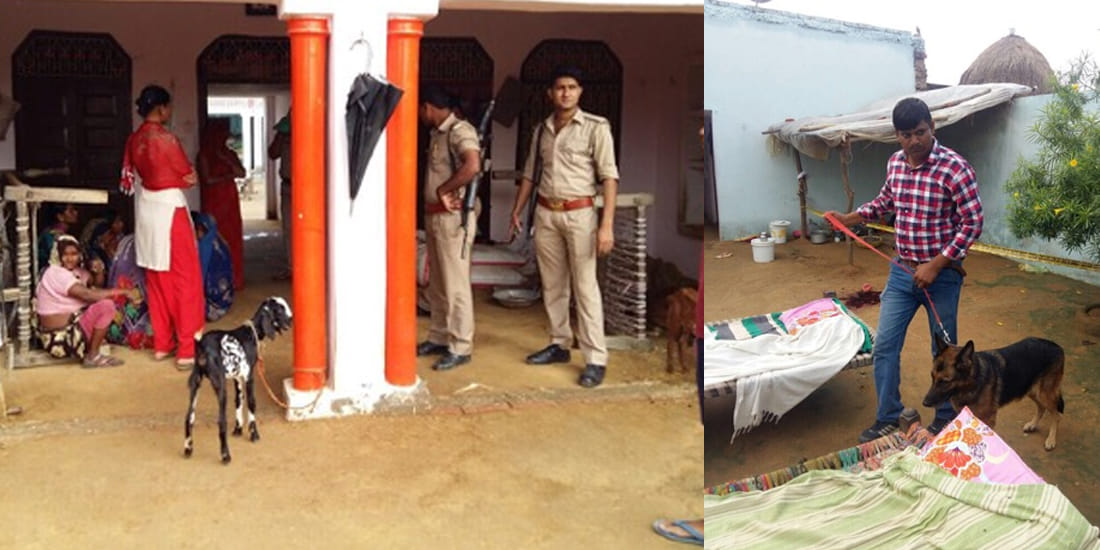 Triple Murder in Etawah Suspect arrested 