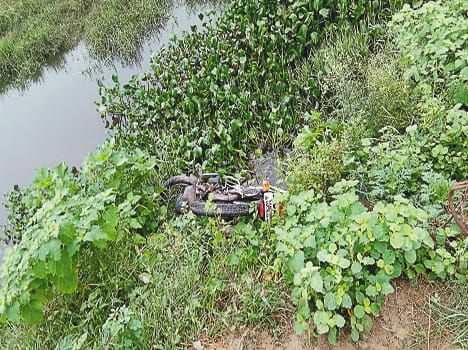 Unclaimed bike in bushes
