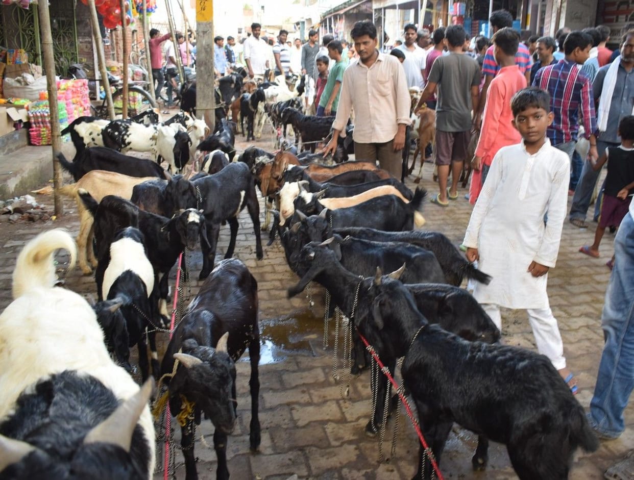 सजा बकरों का बाजार