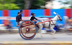 The copper race case: High Court rejects government's review petition